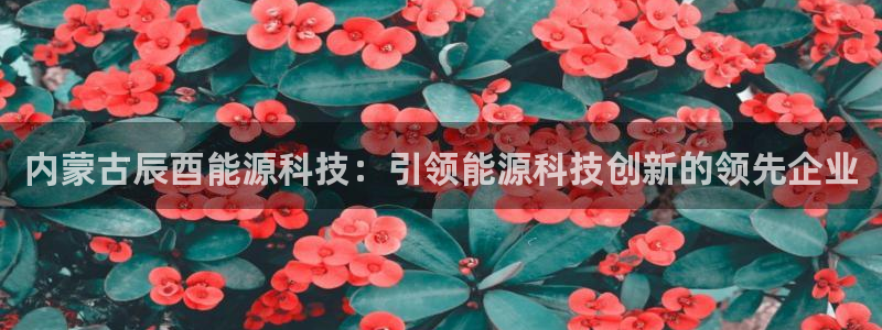 sunbet官网welcome