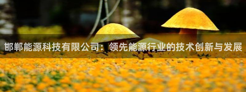 sunbet手机端