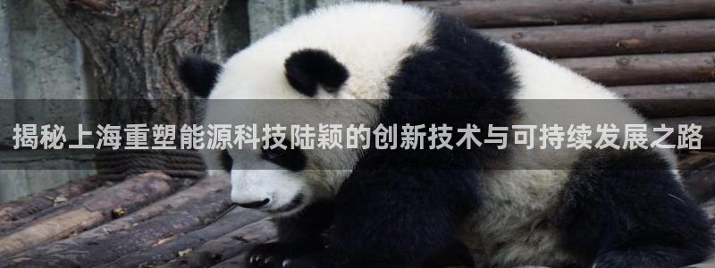 申博官方网站