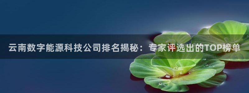 sunbet申搏app下载