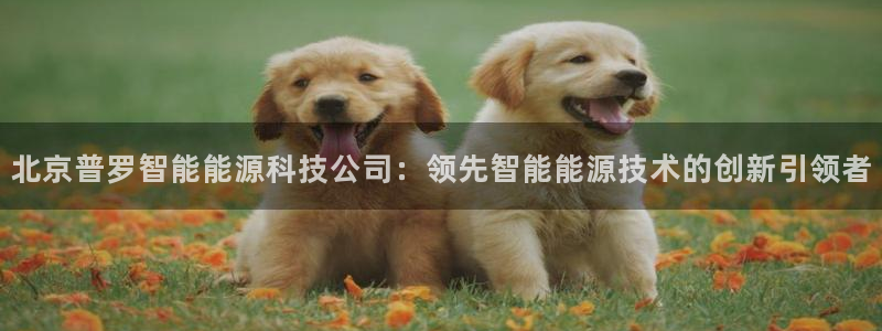 申博手机网址