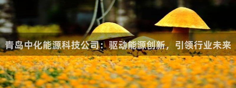 sunbet手机网页版