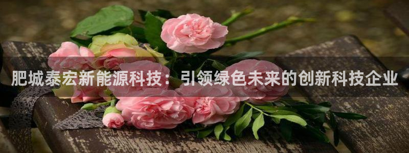 sunbet官网登录首页