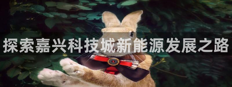 申慱sunbet网站
