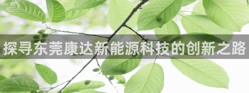 sunbet官网登录首页