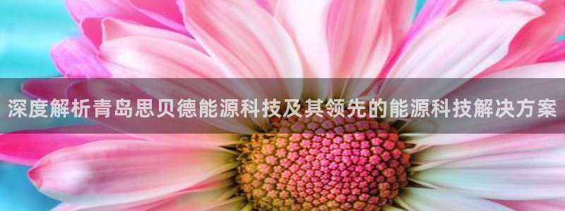 申慱sunbet网站