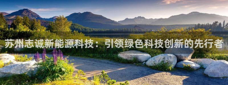 sunbet游戏官网
