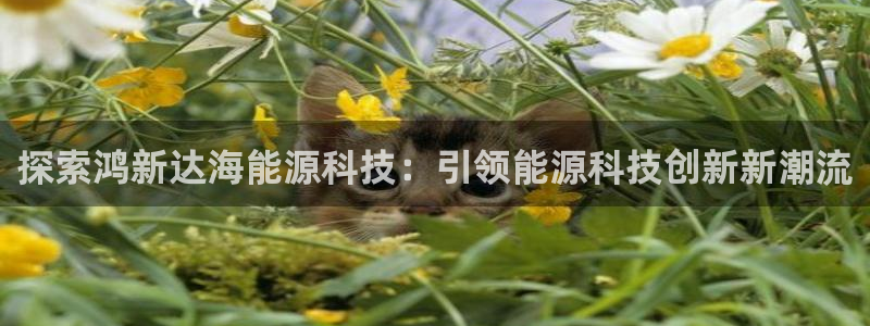 申博官网手机客户端