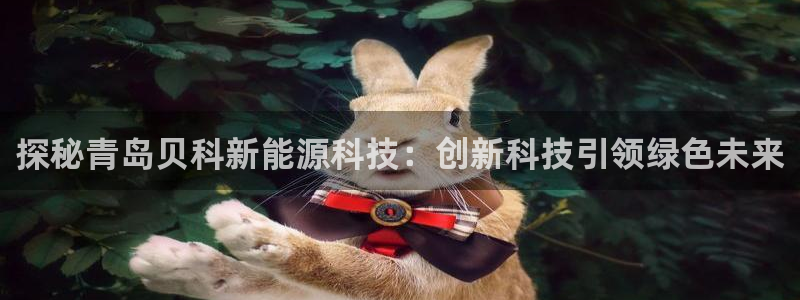 sunbet中国官网