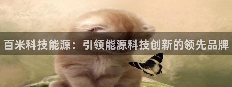 sunbet手机网页版本
