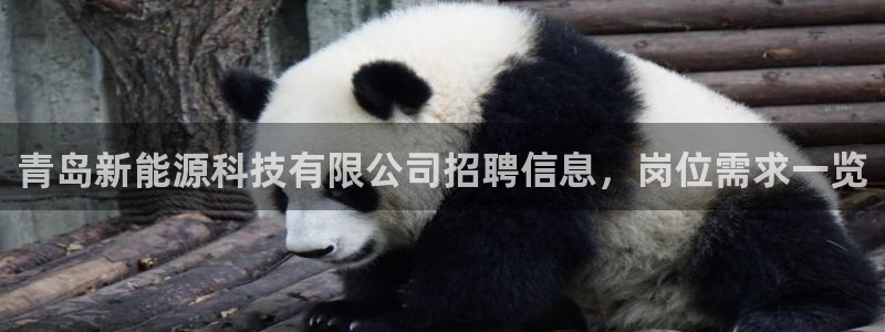 sunbet官网手机版登录
