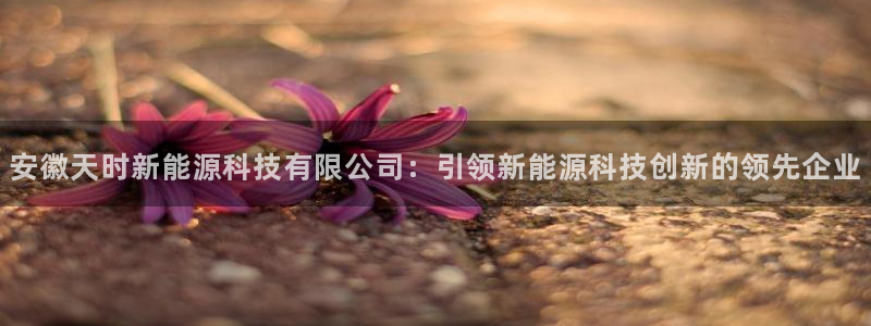 sunbet官网welcome
