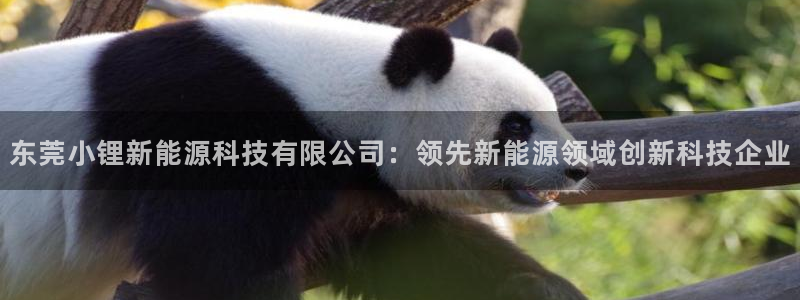 sunbet靠谱吗