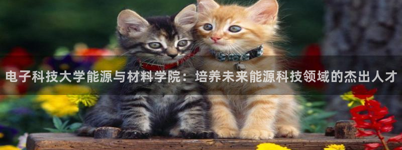sunbet申搏平台