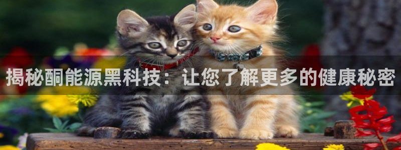 申博官方网站