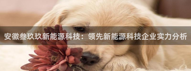 sunbet官网登录首页