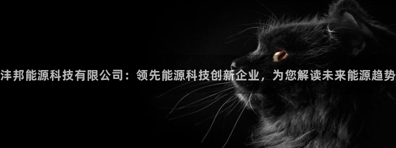 sunbet源码