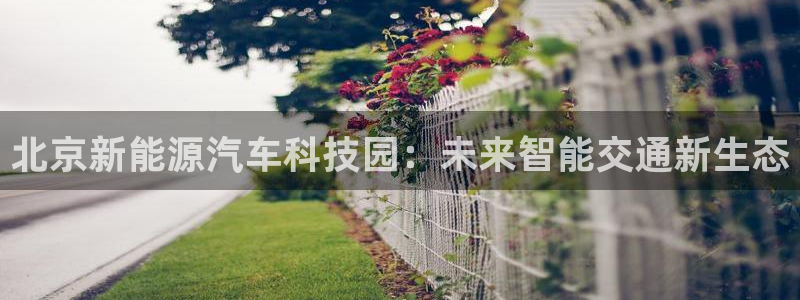 sunbet手机网页版下载