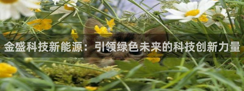 sunbet最新登陆
