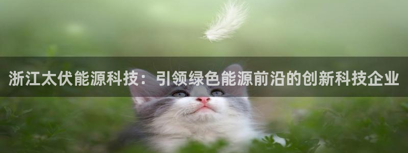 申博官方网站手机版下载
