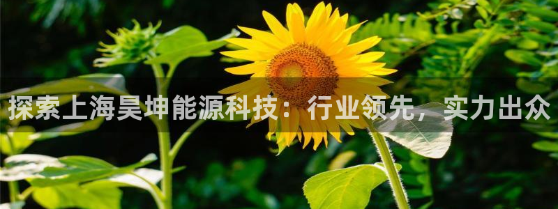 sunbet游戏网