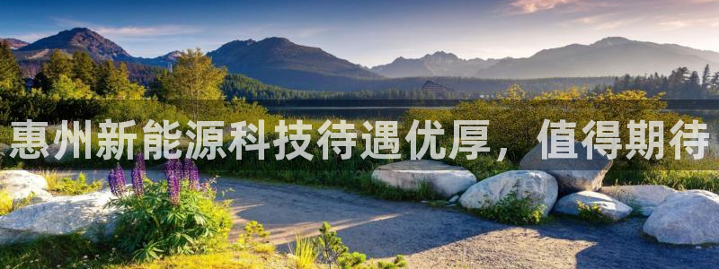 sunbet官网手机版登录