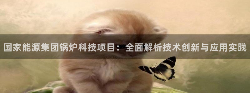 申博视讯