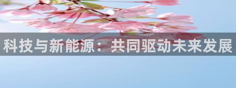 申博手机版app下载