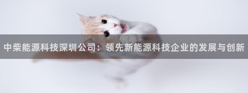 sunbet英语翻译