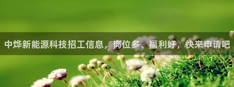 申博官网手机版下载app
