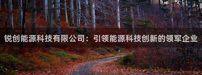 sunbet手机网页版本