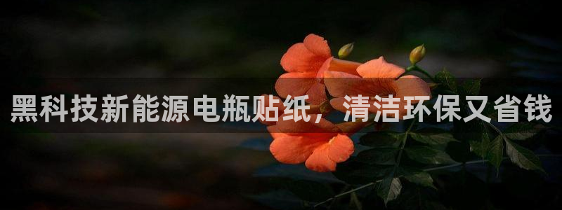 sunbet官网手机版