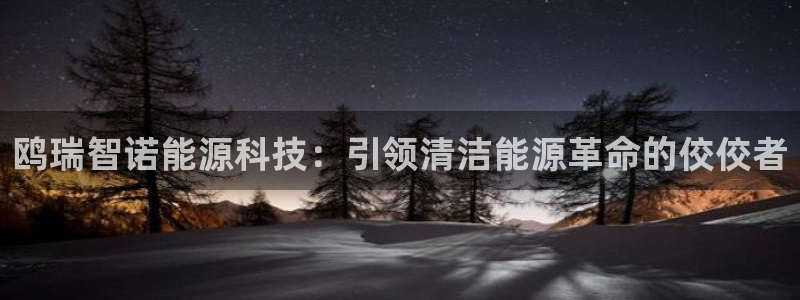 sunbet程序