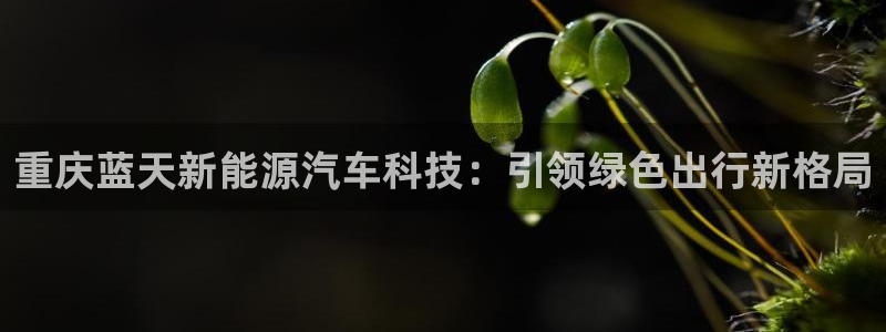sunbet苹果官网下载