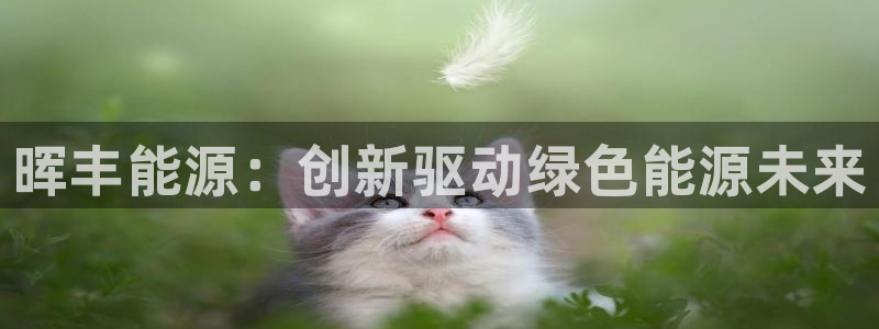 sunbet安卓下载
