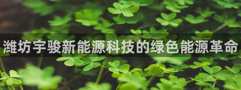 进入sunbet官网手机版登陆