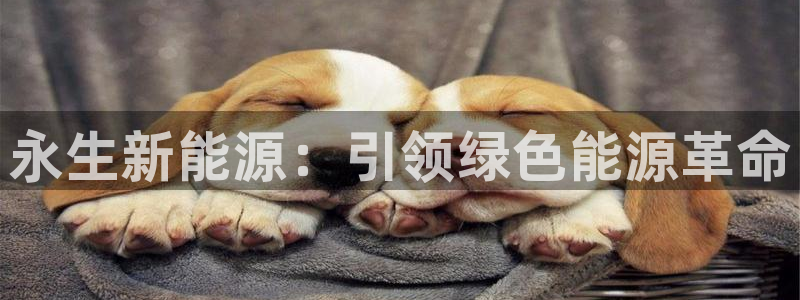 申博手机网址