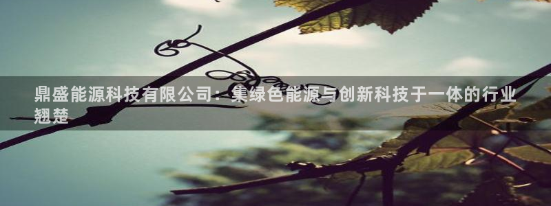 sunbet游戏官网