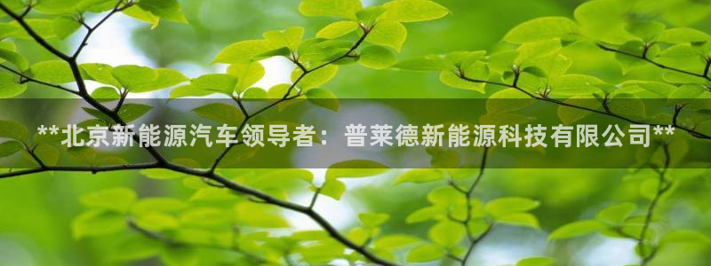 申博官方网站