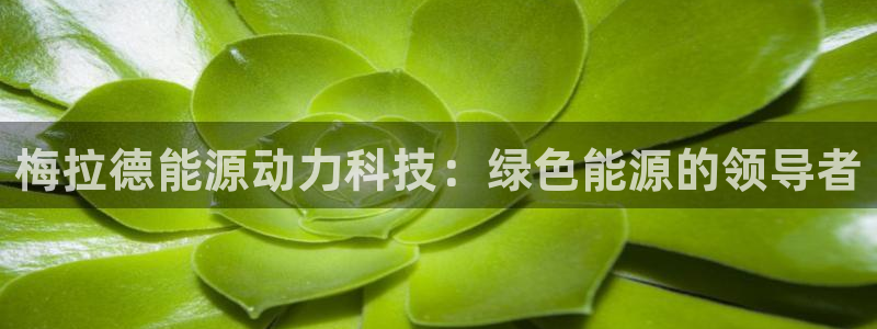 申博官网手机版下载app