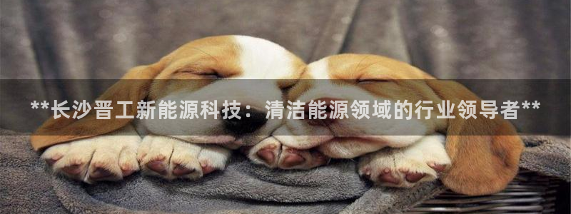 申博官网电脑版下载