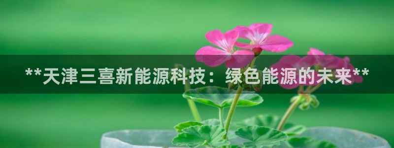 sunbet手机版官网下载