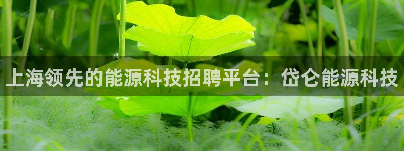 sunbet燃气灶