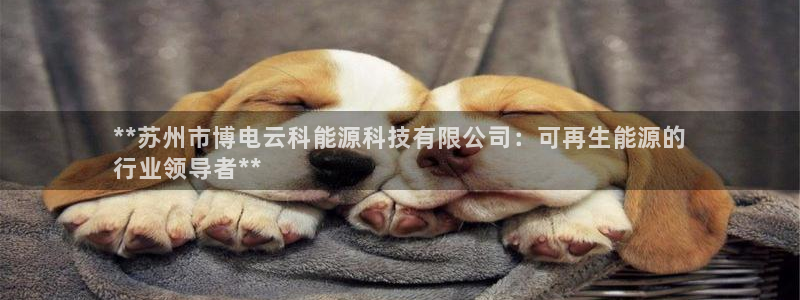 申博手机网址
