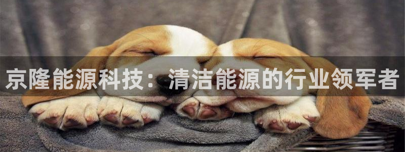 sunbet最新登陆