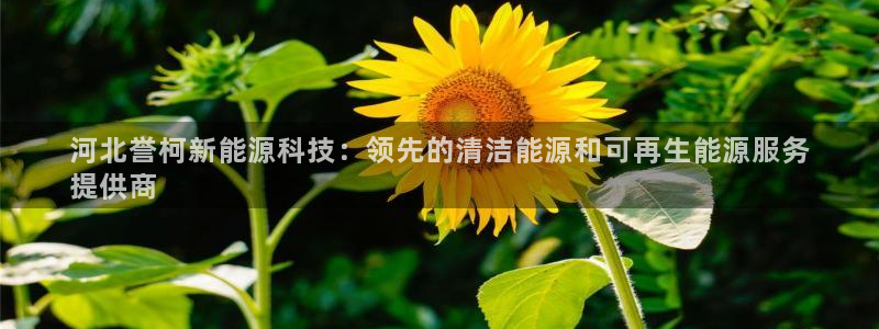 sunbet官网手机版登录