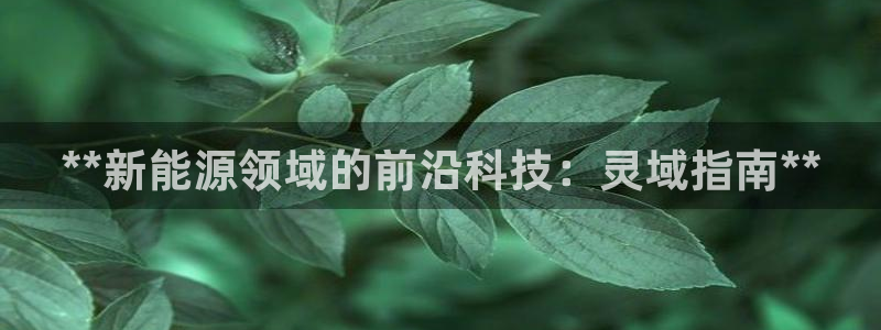 sunbet手机网页版