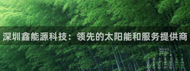 sunbet官网手机版登录