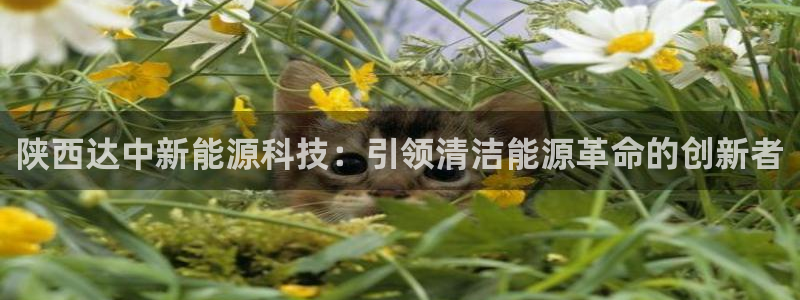 申博手机网址