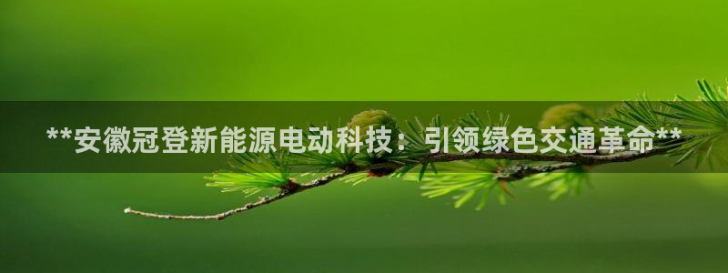 sunbet燃气灶